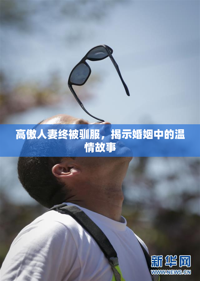 高傲人妻终被驯服，揭示婚姻中的温情故事