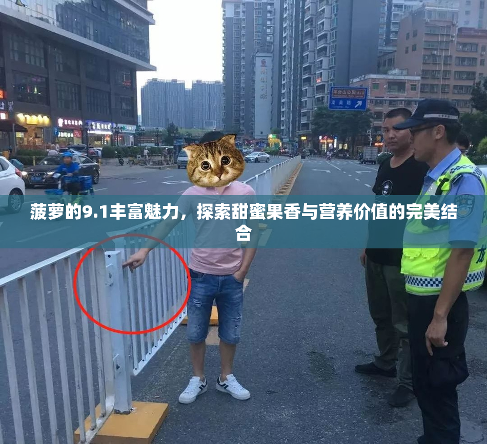 菠萝的9.1丰富魅力，探索甜蜜果香与营养价值的完美结合