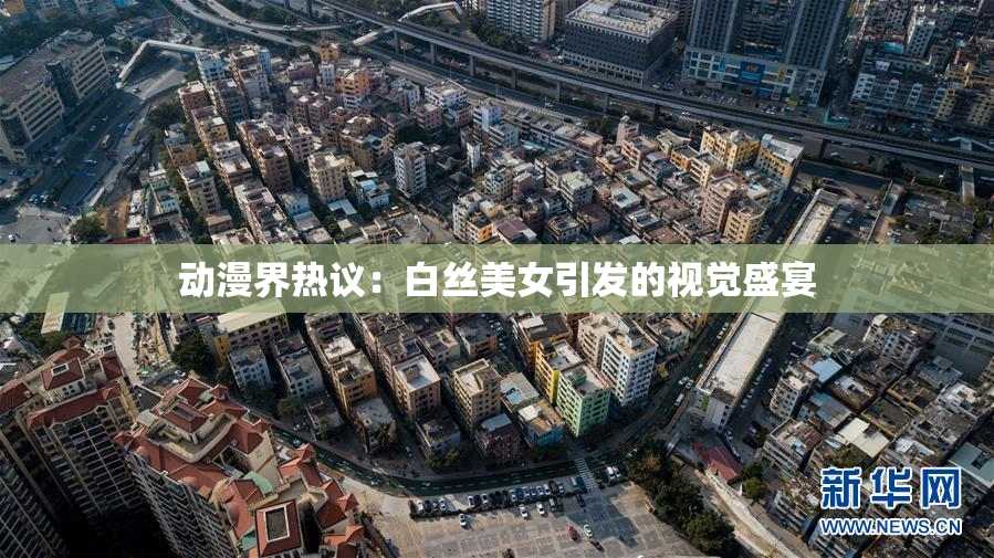 动漫界热议：白丝美女引发的视觉盛宴