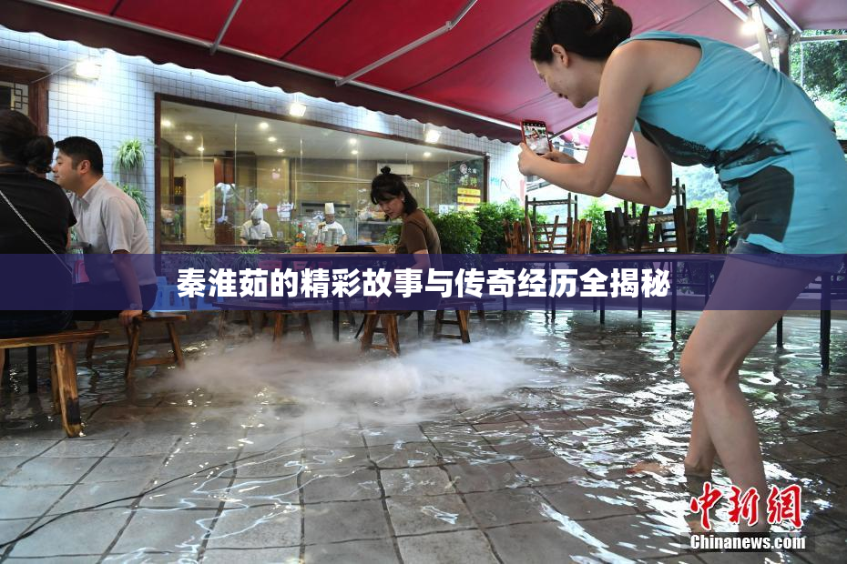 秦淮茹的精彩故事与传奇经历全揭秘