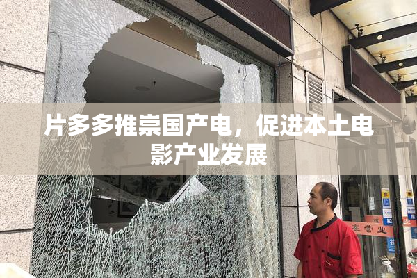 片多多推崇国产电，促进本土电影产业发展