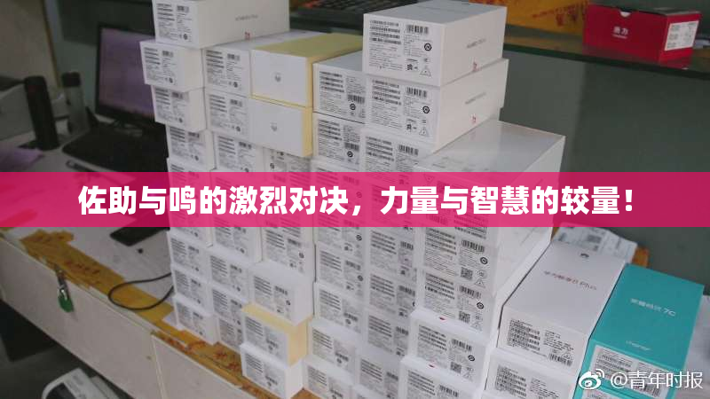 佐助与鸣的激烈对决，力量与智慧的较量！