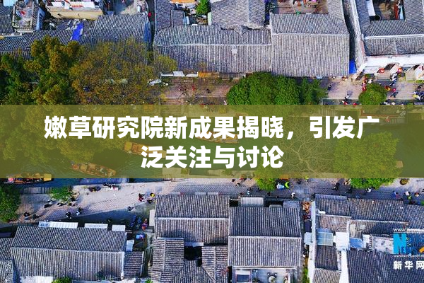 嫩草研究院新成果揭晓，引发广泛关注与讨论