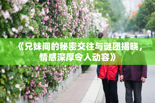 《兄妹间的秘密交往与谜团揭晓，情感深厚令人动容》