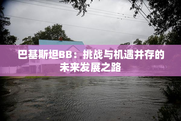 巴基斯坦BB：挑战与机遇并存的未来发展之路