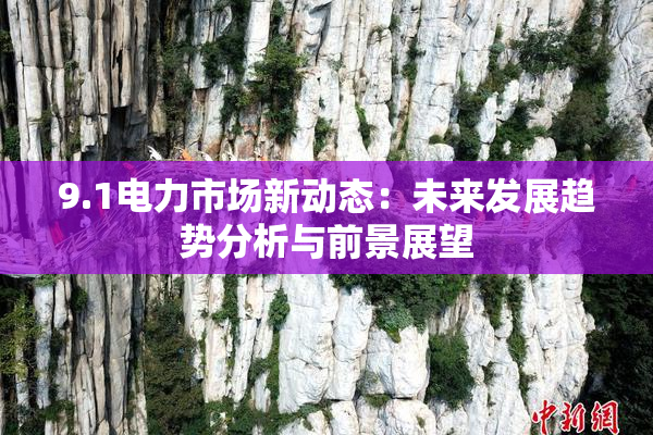 9.1电力市场新动态：未来发展趋势分析与前景展望