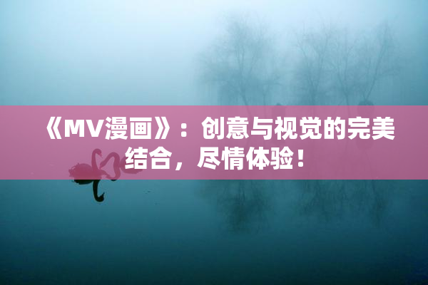 《MV漫画》：创意与视觉的完美结合，尽情体验！