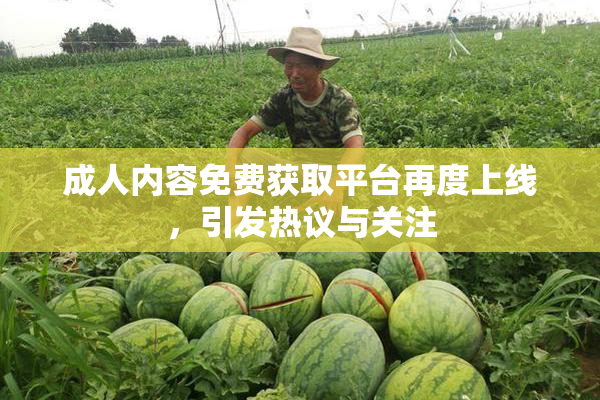 成人内容免费获取平台再度上线，引发热议与关注
