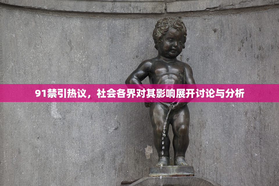 91禁引热议，社会各界对其影响展开讨论与分析