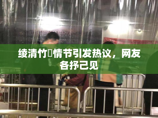绫清竹婬情节引发热议，网友各抒己见