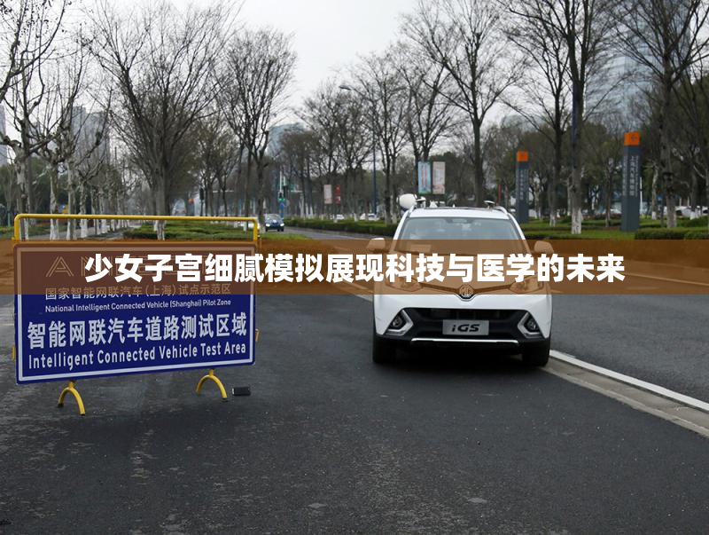 少女子宫细腻模拟展现科技与医学的未来