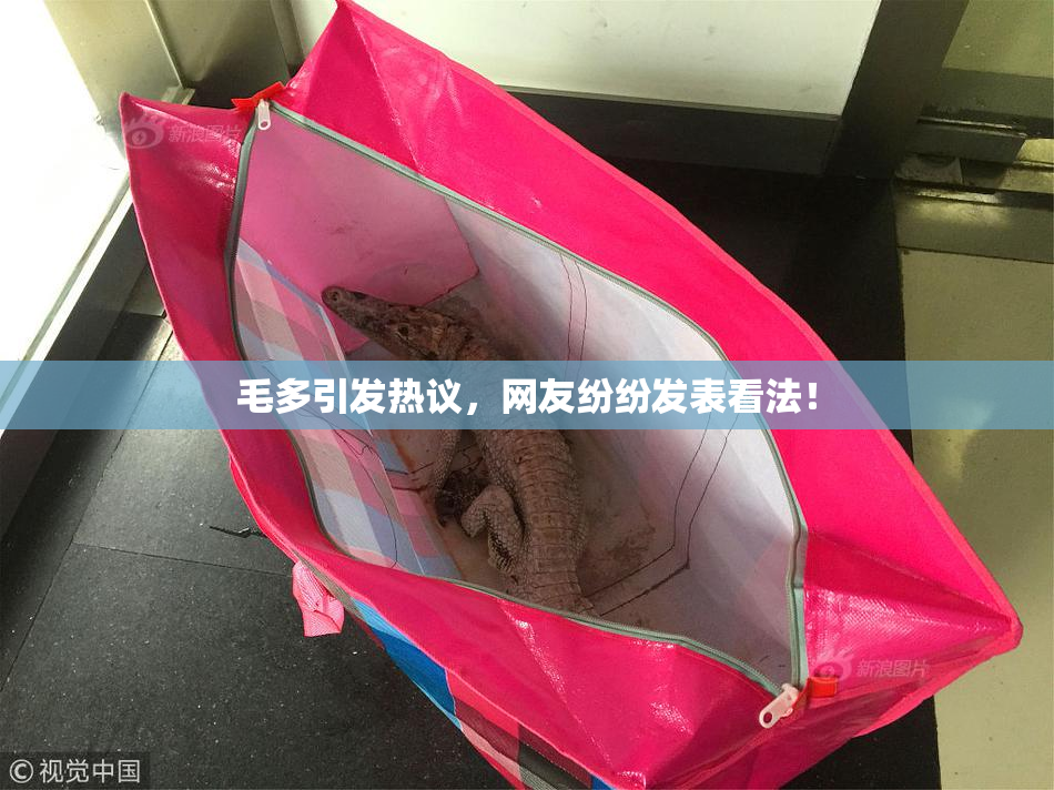 毛多引发热议，网友纷纷发表看法！