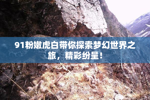 91粉嫩虎白带你探索梦幻世界之旅，精彩纷呈！