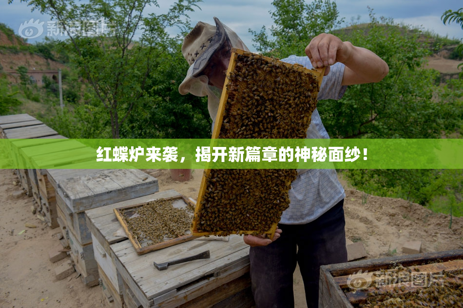 红蝶炉来袭，揭开新篇章的神秘面纱！