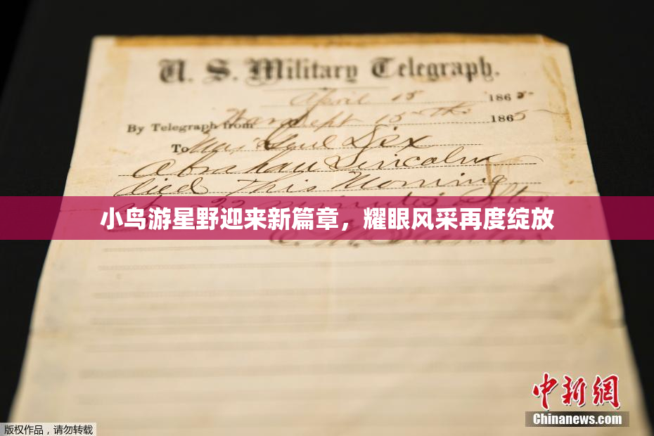 小鸟游星野迎来新篇章，耀眼风采再度绽放