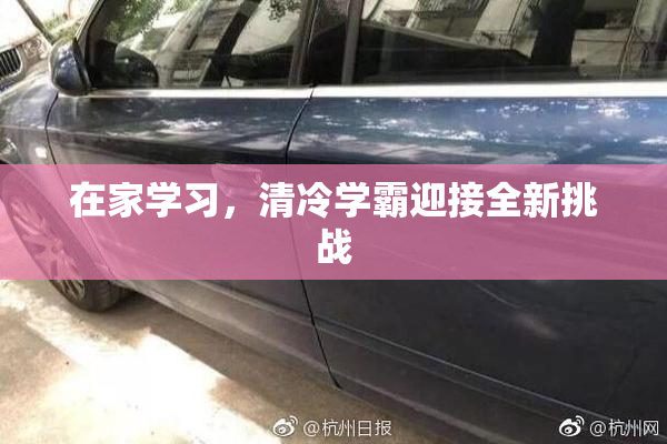 在家学习，清冷学霸迎接全新挑战