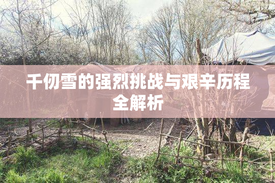 千仞雪的强烈挑战与艰辛历程全解析