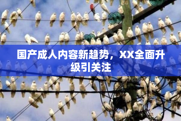 国产成人内容新趋势，XX全面升级引关注