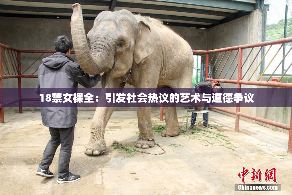 18禁女裸全：引发社会热议的艺术与道德争议