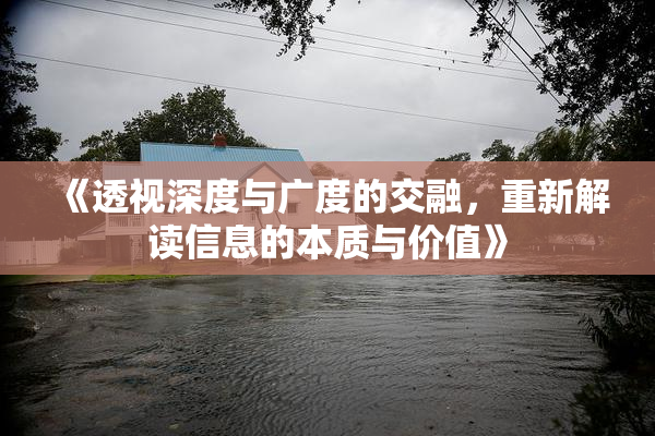 《透视深度与广度的交融，重新解读信息的本质与价值》