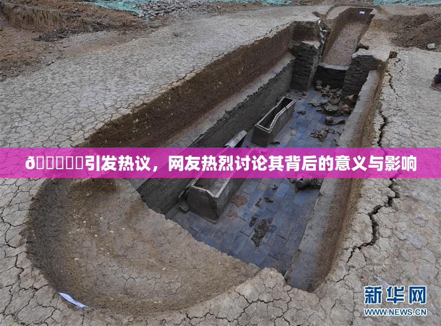 🍆❌‌引发热议，网友热烈讨论其背后的意义与影响