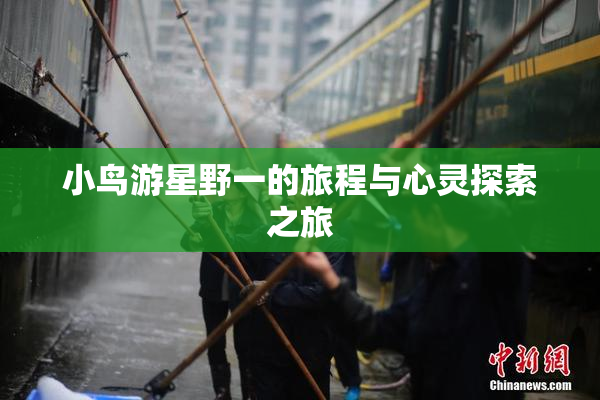 小鸟游星野一的旅程与心灵探索之旅