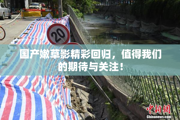 国产嫩草影精彩回归，值得我们的期待与关注！