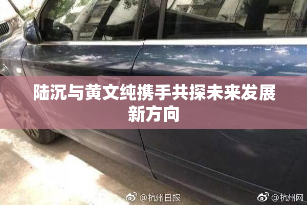 陆沉与黄文纯携手共探未来发展新方向