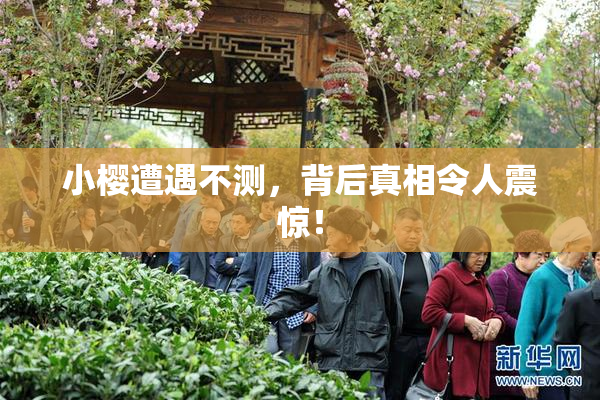 小樱遭遇不测，背后真相令人震惊！