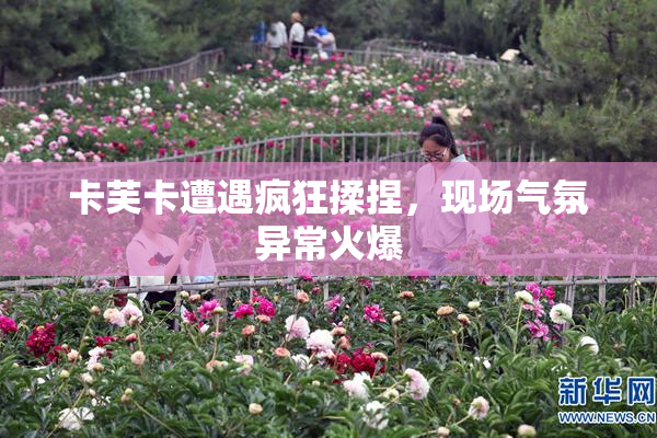卡芙卡遭遇疯狂揉捏，现场气氛异常火爆