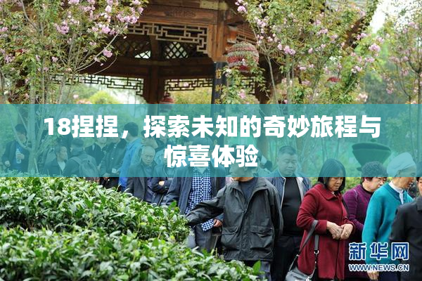 18捏捏，探索未知的奇妙旅程与惊喜体验