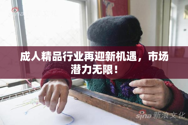 成人精品行业再迎新机遇，市场潜力无限！