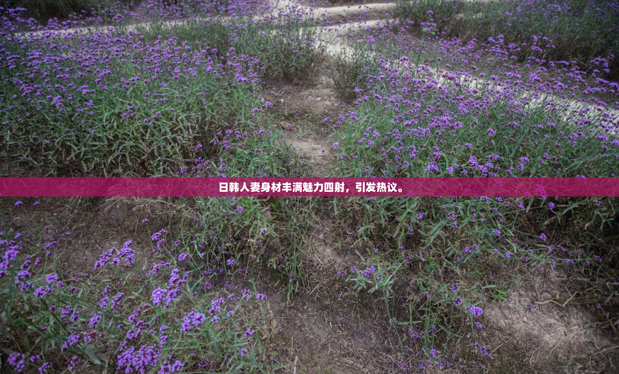 日韩人妻身材丰满魅力四射，引发热议。