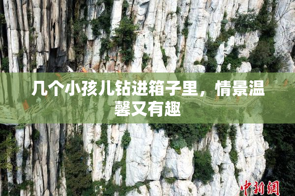 几个小孩儿钻进箱子里，情景温馨又有趣