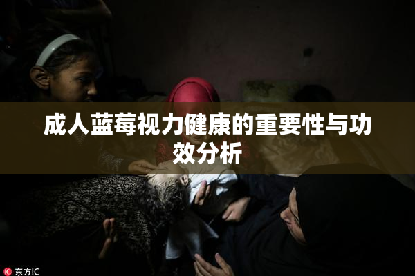 成人蓝莓视力健康的重要性与功效分析
