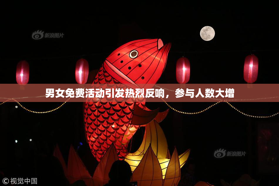 男女免费活动引发热烈反响，参与人数大增