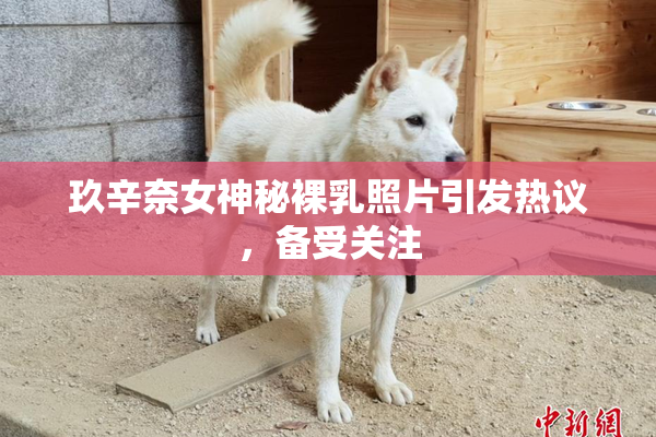 玖辛奈女神秘裸乳照片引发热议，备受关注