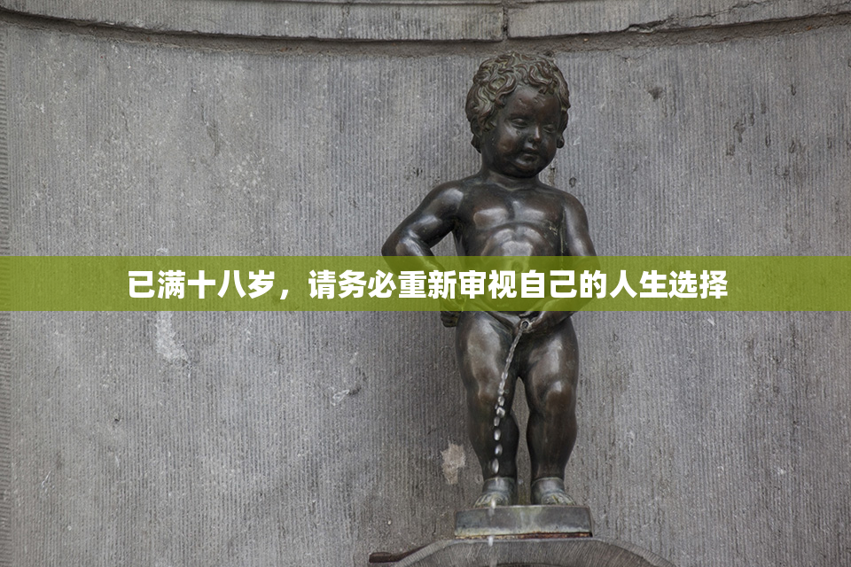 已满十八岁，请务必重新审视自己的人生选择