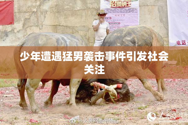 少年遭遇猛男袭击事件引发社会关注