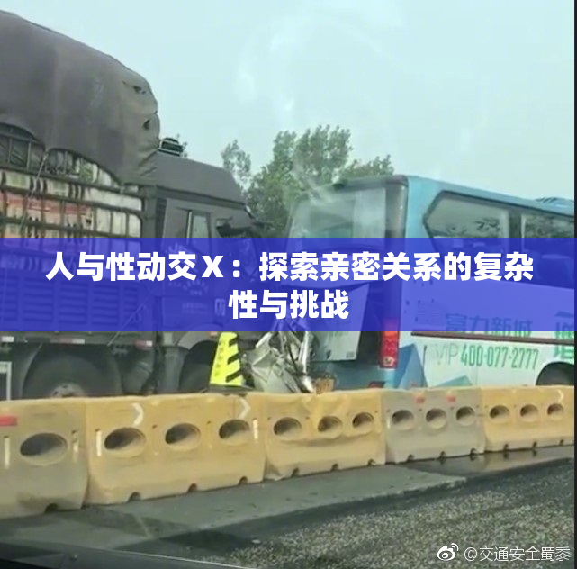 人与性动交Ⅹ：探索亲密关系的复杂性与挑战