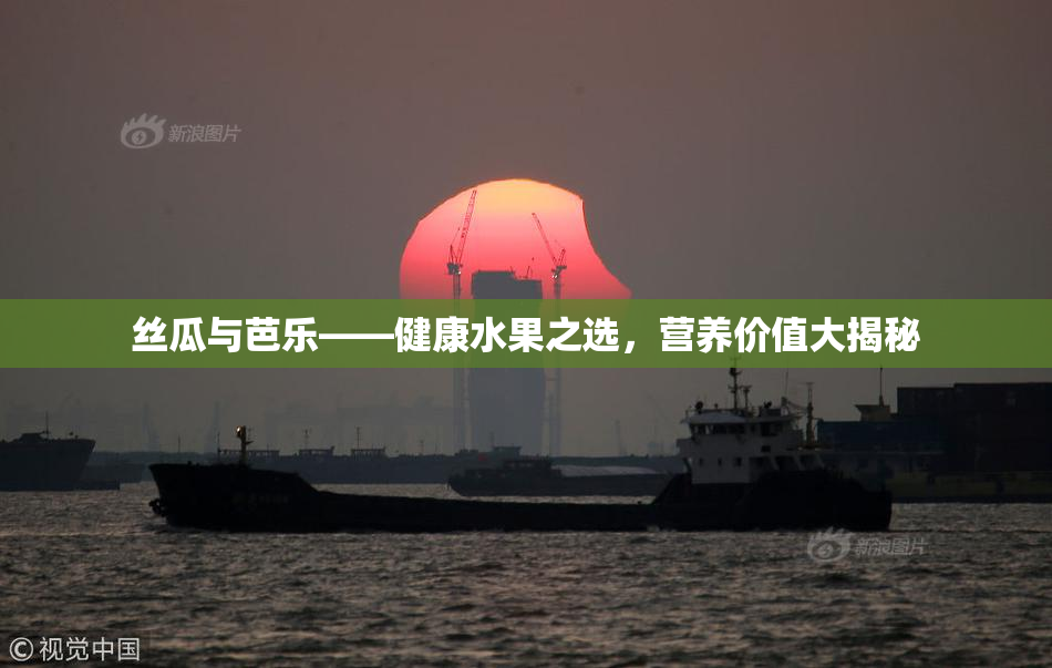 丝瓜与芭乐——健康水果之选，营养价值大揭秘