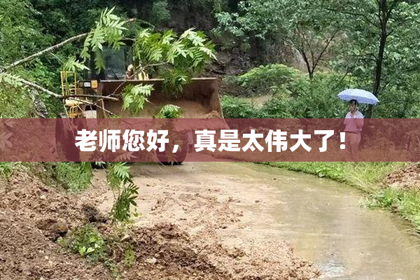 老师您好，真是太伟大了！