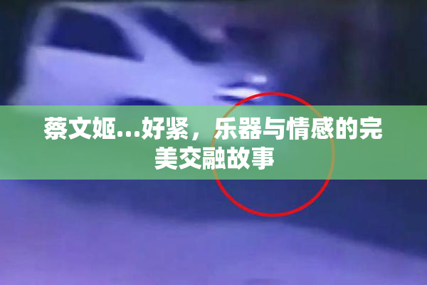 蔡文姬…好紧，乐器与情感的完美交融故事