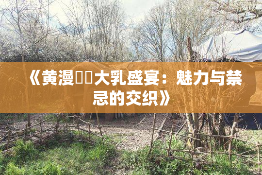 《黄漫❌‌大乳盛宴：魅力与禁忌的交织》