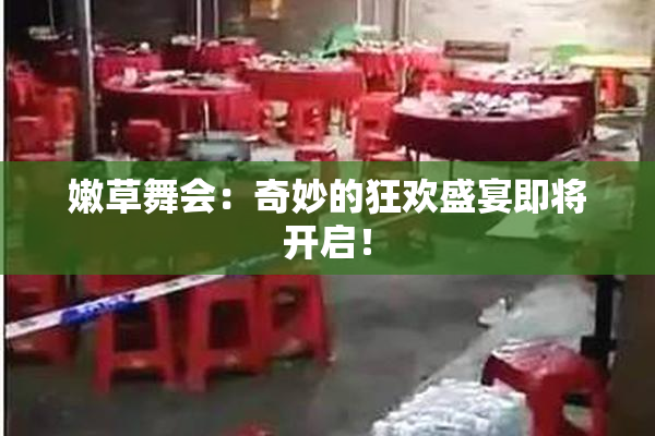 嫩草舞会：奇妙的狂欢盛宴即将开启！