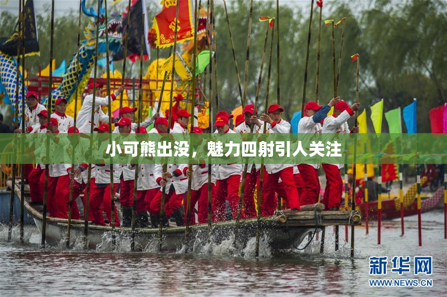 小可熊出没，魅力四射引人关注