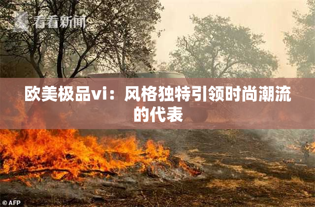 欧美极品vi：风格独特引领时尚潮流的代表