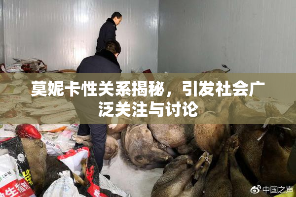 莫妮卡性关系揭秘，引发社会广泛关注与讨论