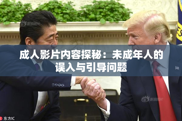 成人影片内容探秘：未成年人的误入与引导问题