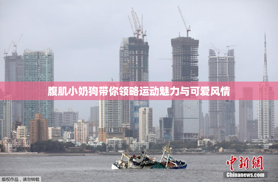 腹肌小奶狗带你领略运动魅力与可爱风情